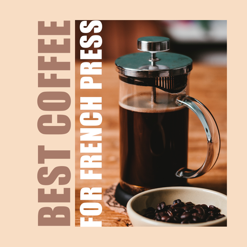 how to use french press how to use french press