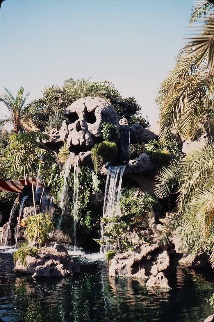 FireShadowHero's tweet image. 