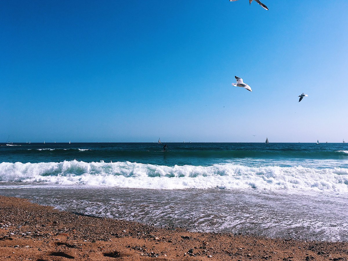 e1ena_cherry's tweet photo. Is love in the air? No, it’s in the sea 🌊 https://t.co/r9cDX5G1ws