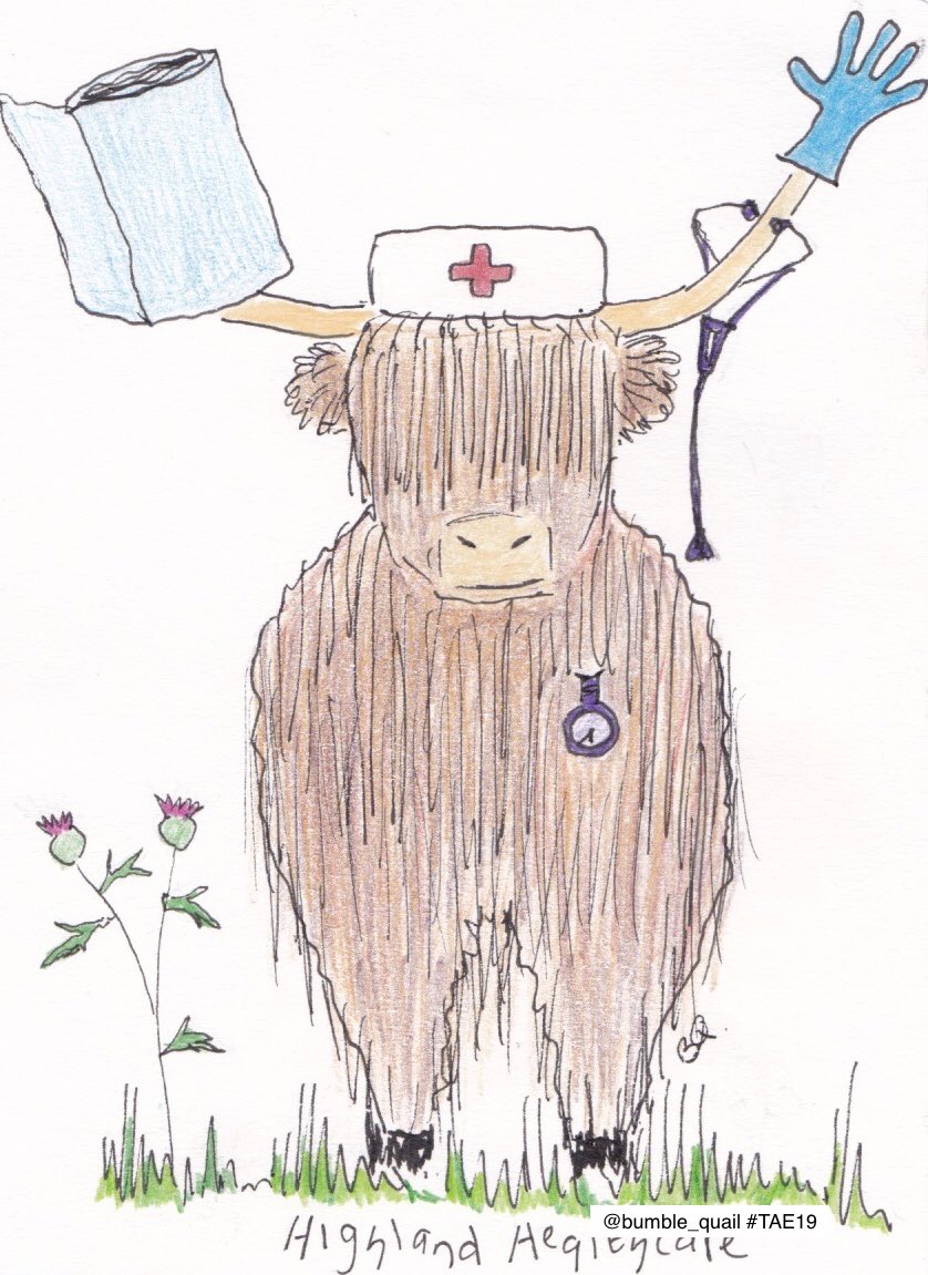 PAEartforacause's tweet photo. Love this. #HighlandHeakthcare by @bumble_quail (funky name 🤣🤣🤣) what do you think @john58wilson ? Thank you so much for supporting #twitterartexhibit and @artinhealthcare Another Coo for #TAE19 Coo Parade 🤣🤣🤣 Thank you. #artychat #edinburgh https://t.co/KBUxFTNWp1