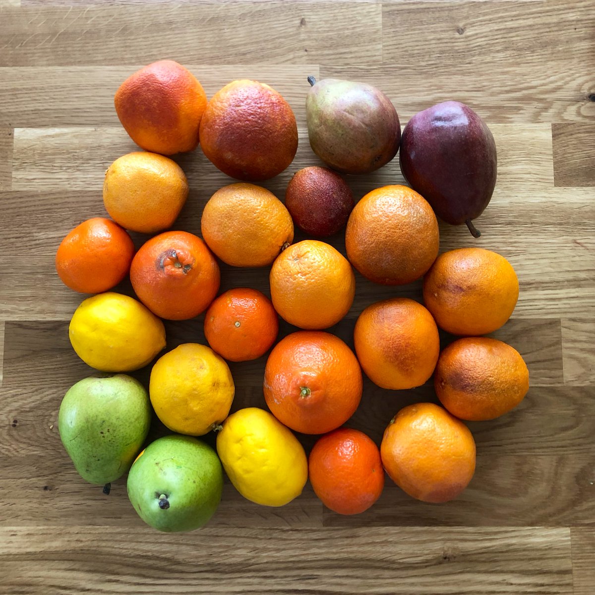 VeganYackAttack's tweet photo. Went to the grocery store and ended up with a lilβ #foodgradient!π https://t.co/ZhN7GiQ7HN