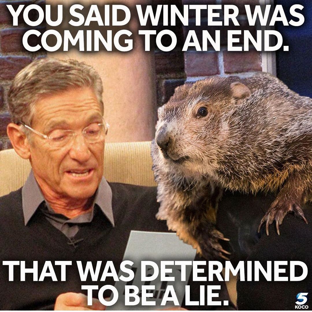 winterbaby9313's tweet photo. I so ready for Spring weather...... Where is it Oklahoma!!! #winterweather #springcomefaster #warmweather https://t.co/pqMDLQXajh
