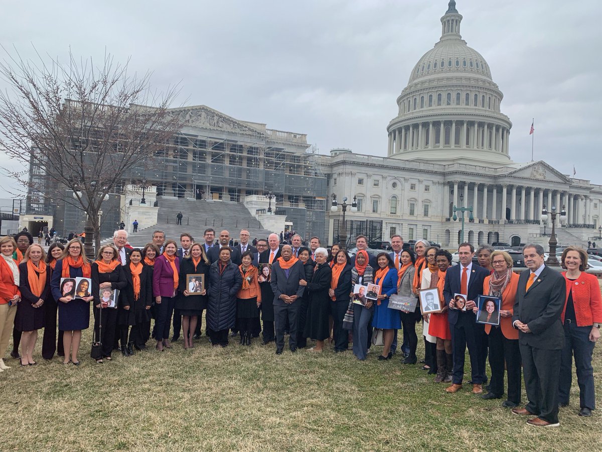 Ilhan's tweet photo. More Americans have been killed with guns than have died in all U.S. wars *combined.*

That includes Birdell Beeks, an innocent bystander who was shot in Minneapolis in 2016. The suspect's gun was connected to 10 other shootings.

Today I held her picture after we passed #HR8. https://t.co/LX78BF3i5Z