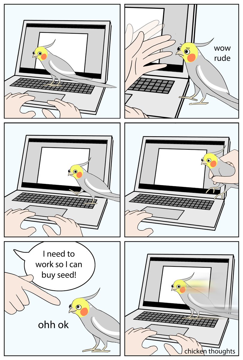 #birb 