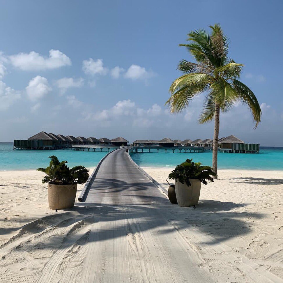 dmAFRICA's tweet photo. Next stop the amazing Velaa Private island. So many activities, dining locations and much much more. This island has everything! #velaa #velaaprivateisland #maldives #dmafrica #everythingextraordinary  @ Velaa Private Island Maldives 🇲🇻 https://t.co/4lNF70AunZ
