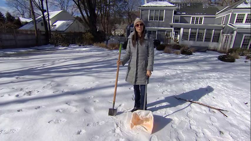 Chronicle5's tweet photo. Need some lawn work of a particular nature? They have a set of particular skills @DoodyCallsMass "We are a low-tech solution in a high-tech world for an age-old problem" @NEstaphan #wackywork @anthonyeverett @shaynaseymour 7:30 #wcvb https://t.co/VXsQQnjAqy