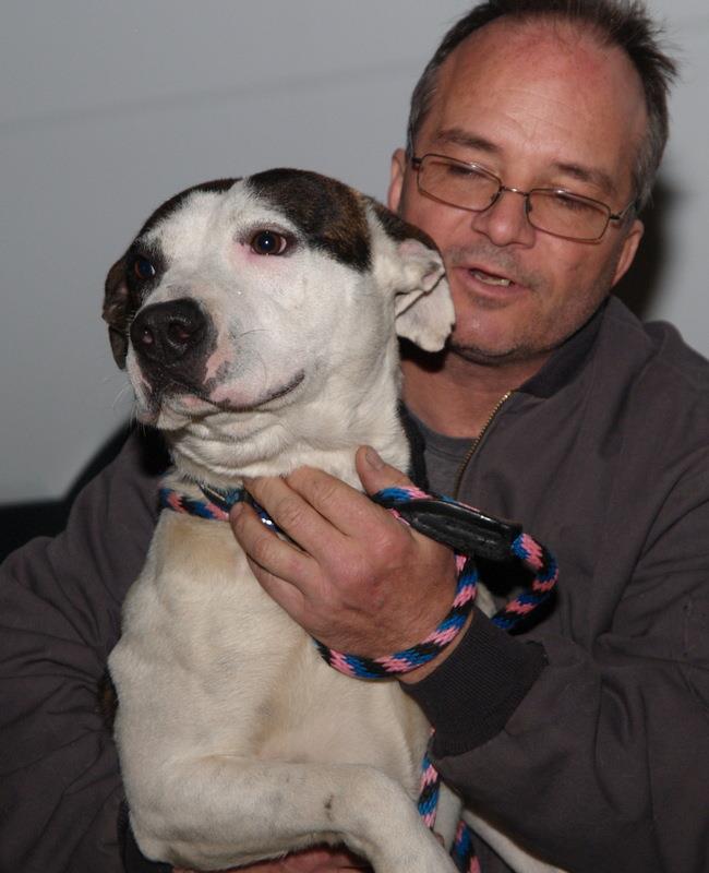 BuddyDogHS's tweet image. #PlzRT
About 2 yrs old #AdoptableDog Milton❤️giving 💋💋&amp;amp; 
getting ear scratches in return! A VERY sweet gentleman rescued from SC.
He&apos;s a sensitive, relaxed soul who needs a calm, loving family💗
Good w/gentle🐕🐕&amp;amp; will do well w/older children
#Sudbury 
#MA 
978-443-6990