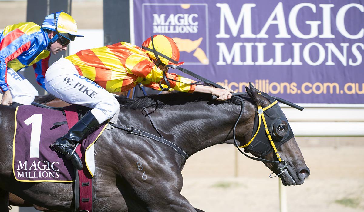 Magic Millions tweet media