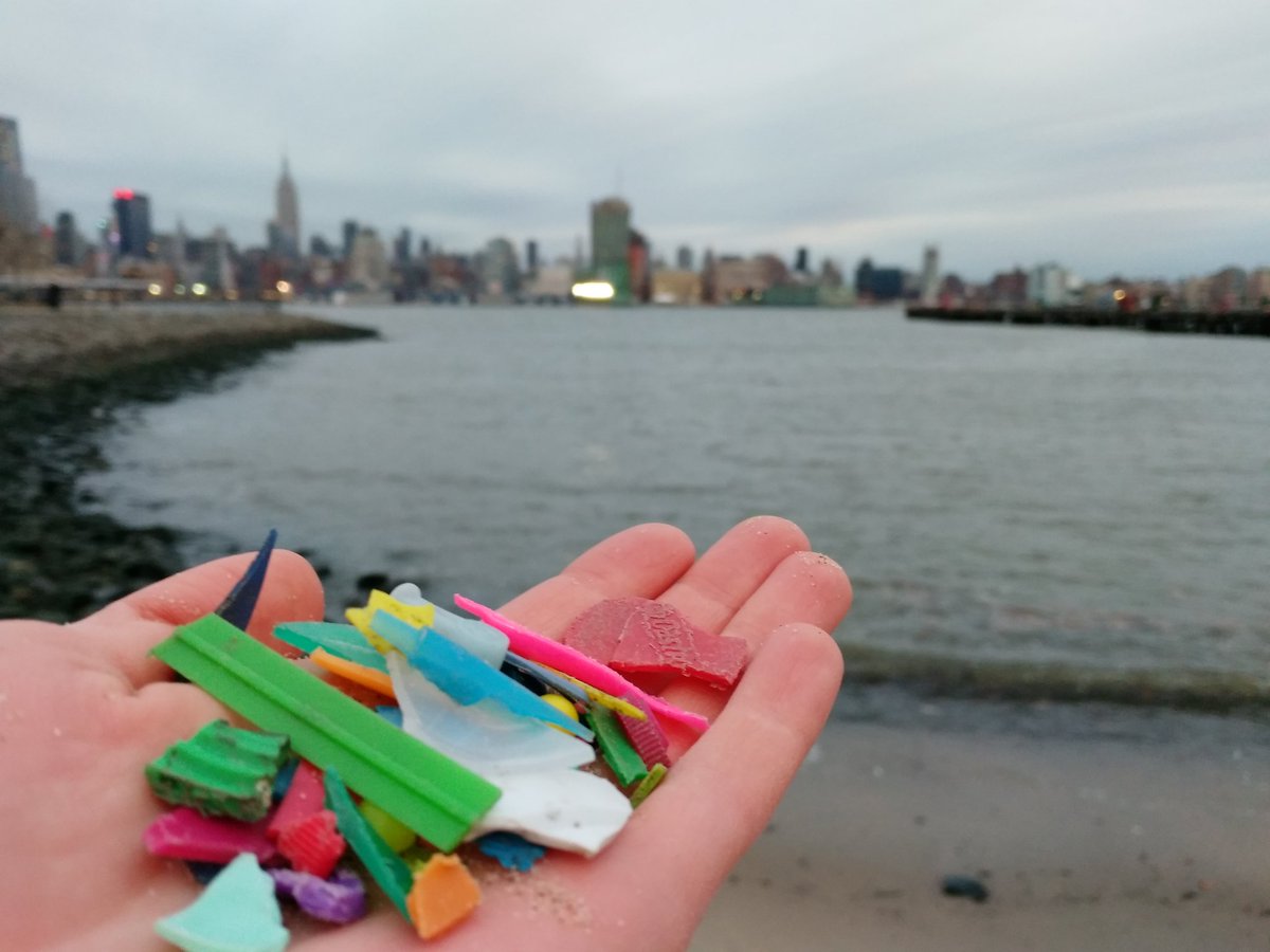RobotMissions's tweet photo. Quite the assortment of vibrant colours in these plastic pieces. Easy to spot. #5minbeachclean #plasticpollution #BeatPlasticPollution https://t.co/8H8nDZLhmo