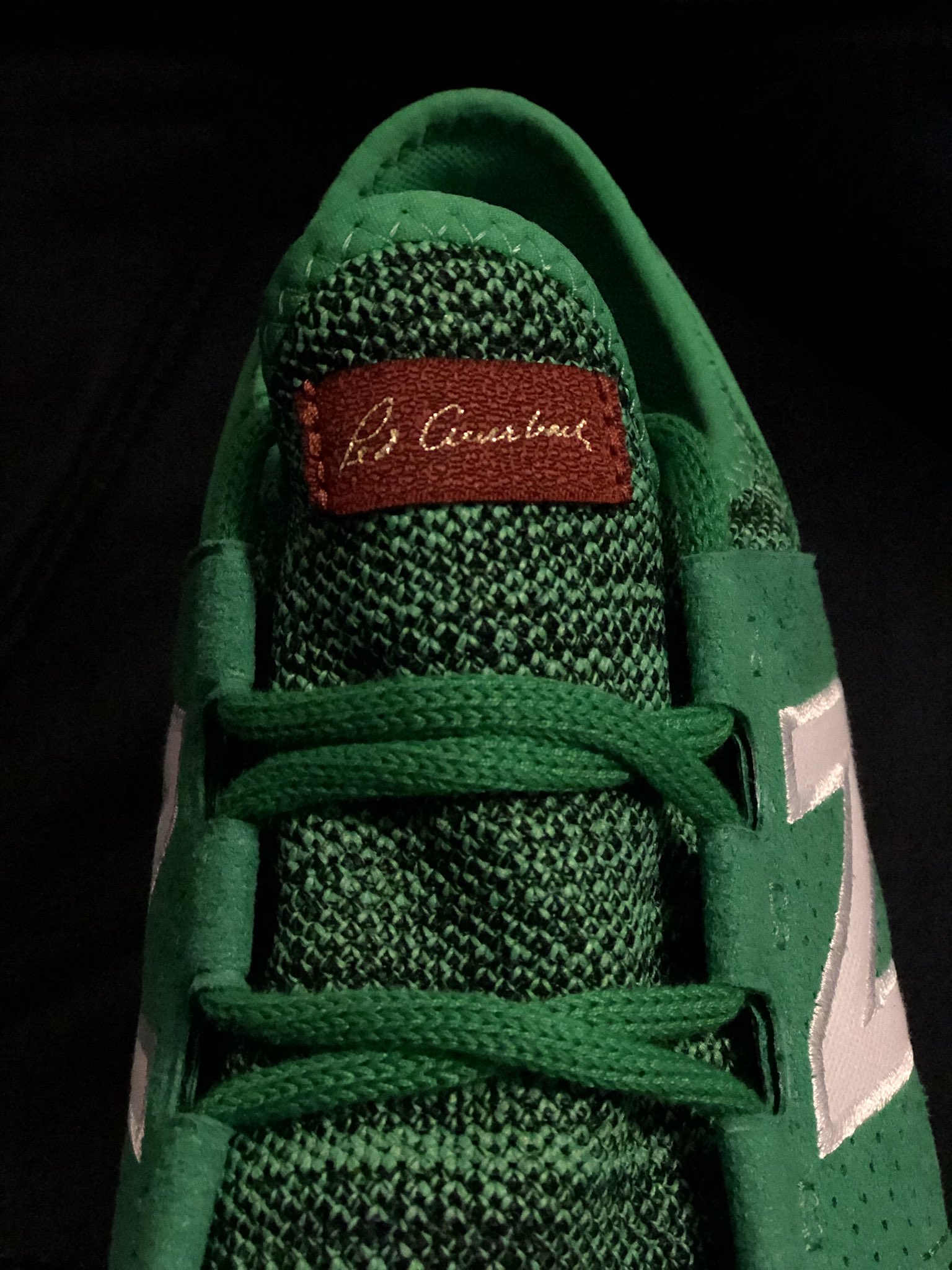 fresh foam cruz reds house edition