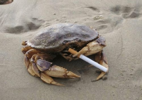 BrettRedacted's tweet photo. Matthew Calamari? I haven’t heard that name in years... https://t.co/Bu2gRIO2cY