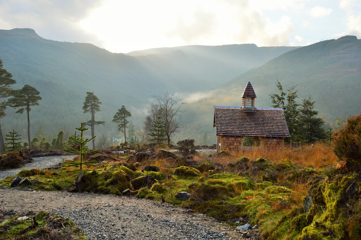 Visit Cowal tweet media