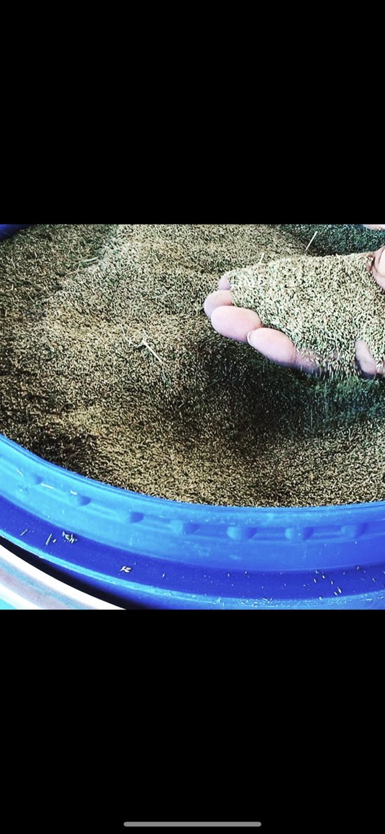 للبيع بذور بلبوبانك انتاج الكويت نسبة انبات
الكيلو ب5دبنار 
للاستفسار تلفون -
٥١٥٣٠٤٠٧-٥٦٥٣٩٢٥٧
الاستلام العبدلي ترثه#ترثه_قديمه#ترثه#فيومي_هرداوي#فيومي#هندي_مطور#_جاوي#دجاج_فارسيدجاج_هندي#مزرعهدجاج#برسيم#بلوبانك#مجارش#اعلاف#العبدلي#صيصان#الكويت#علف#صيصان#طليان#نعيم#بذور#بلوبنك