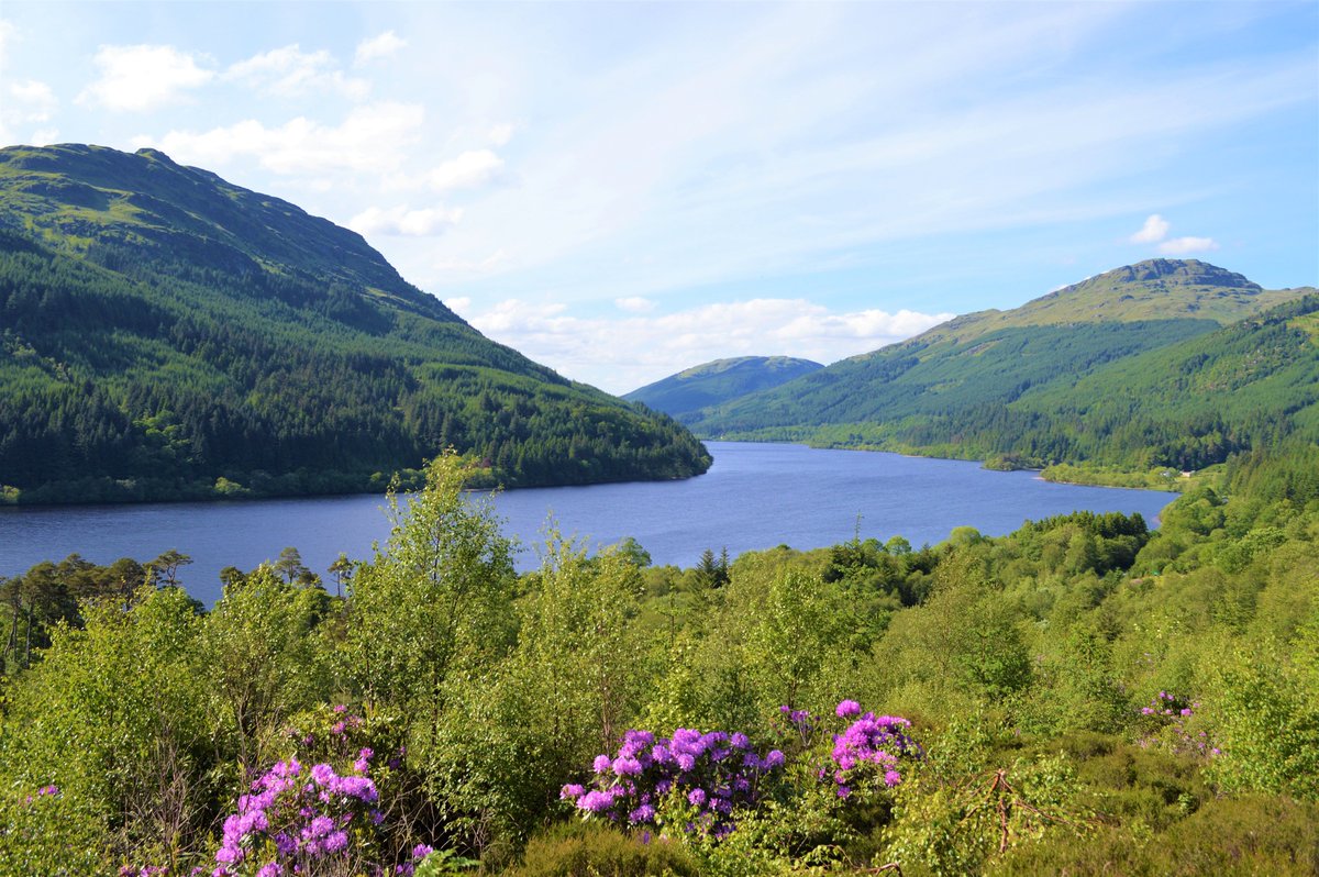 Visit Cowal tweet media