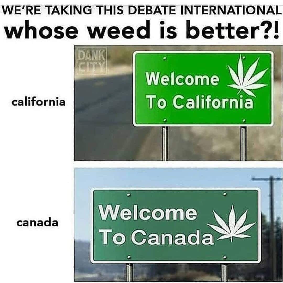 TheGreenDailyy's tweet image. What’s your choice? #staycrispy #cannabis