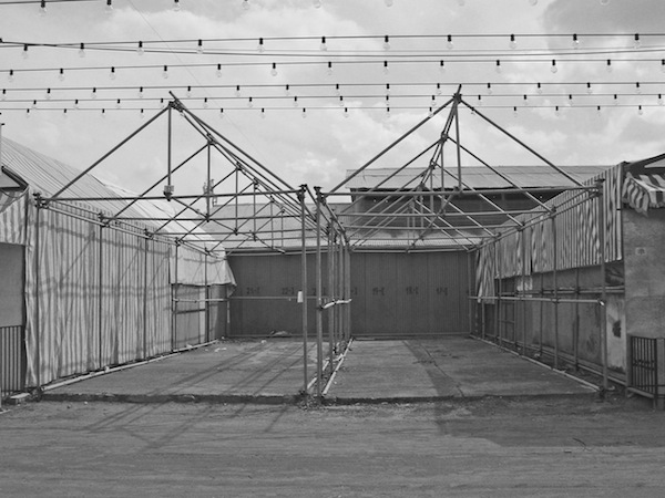 LauraGCab's tweet image. Feliz día de Andalucía