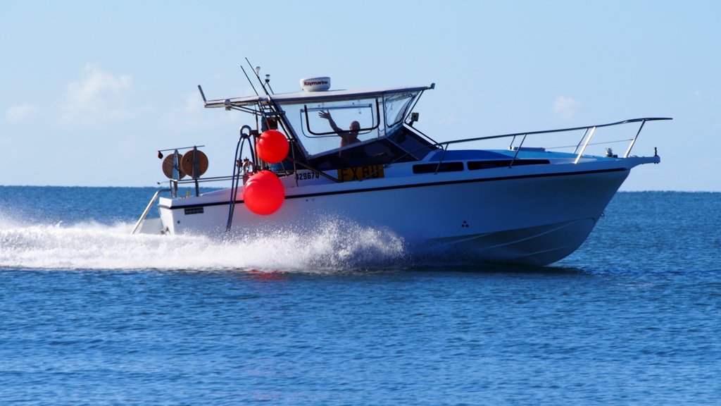 FishX_Program tweet media