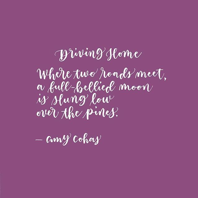 AmyCohas's tweet image. Last one of the night.
#scriptlettering #handlettering #brushlettering #handwritten #moderncalligraphy #calligraphy #imacalligrafile #poetry #poetsofinstagram ift.tt/2GNFzEl