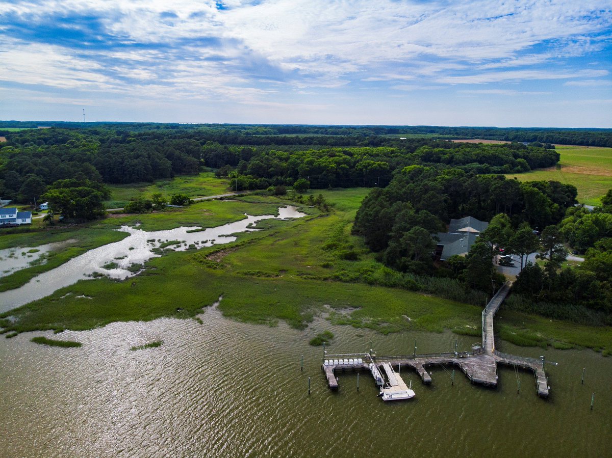 US LTER (@uslter) on Twitter photo Wow, we can't believe it's the last day of #LTERlove! We're excited to end by featuring beautiful <a href="/vcrlter/">Virginia Coast Reserve LTER</a> throughout the day. Scientists at VCR are working to predict how long & short term disturbances will impact barrier islands along the Atlantic coast.
#NSFfunded #scicomm Wow, we can't believe it's the last day of #LTERlove! We're excited to end by featuring beautiful <a href="/vcrlter/">Virginia Coast Reserve LTER</a> throughout the day. Scientists at VCR are working to predict how long & short term disturbances will impact barrier islands along the Atlantic coast.
#NSFfunded #scicomm