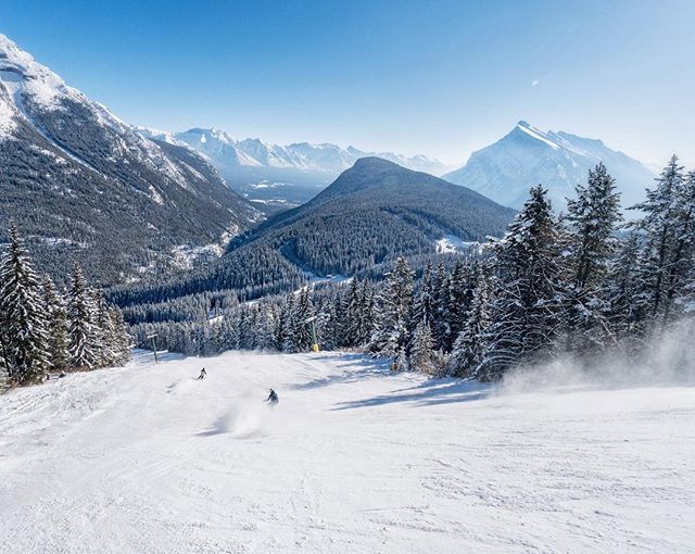 travisnrousseau's tweet photo. Chasing @fastcw and @e.littt at @mtnorquay but as you can see here, I lost. They were just too fast! 
#mtnorquay #mightyquay #skibig3 #skibig3ambassador #mybanff #banffnationalpark #explorecanada #travelalberta #collectivepass #ikonpass #skiing #winter https://t.co/7ZunpCxRxS https://t.co/08xsQPD9uN