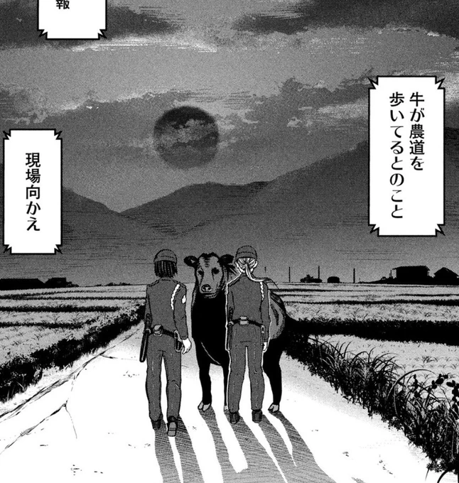 110番通方が入れば、相手が人間じゃなくても対応を迫られます(ただし発砲はできません)。ちょびっと『シン・ゴジラ』(?)な『ハコヅメ』その60「厳〝獣〟注意」は本日発売のモーニングにて。
#ハコヅメ #交番女子 #Dモーニング #COMICDAYS 