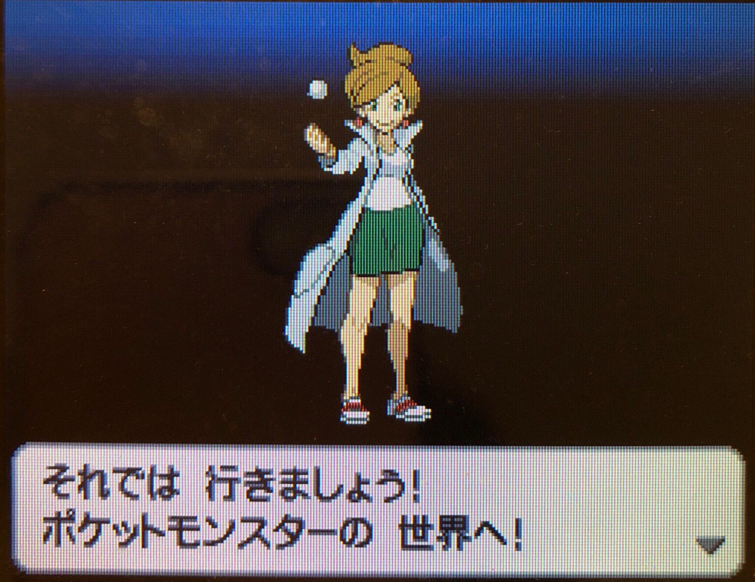 1 Dsiで始めた ピクミン マリオ ドラクエ Ff ポケモン日記