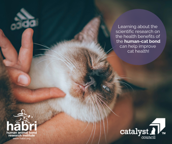 CatalystCouncil's tweet image. This month, @HABRITweets and @CatalystCouncil are celebrating #NationalCatHealthMonth! HABRI research: 92% of pet owners are more likely to maintain their pet’s health when they know the scientific research on the health benefits of pet ownership. ow.ly/Ws7h50lOXZ8