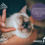 Photo by CATalyst Council (@CatalystCouncil)