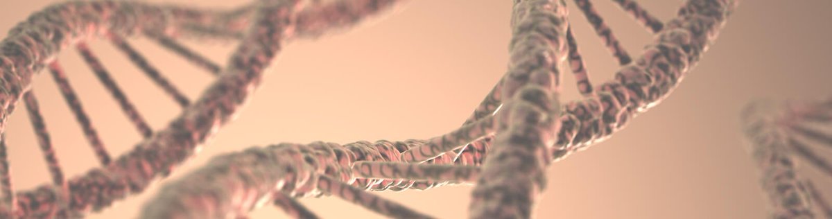 InterHealthSys's tweet photo. https://t.co/oTnkfjFDUe
Healthy longevity lies in your genes and what you do every day modulates their expression.
#genomiccounseling #heredity #environment #geneticmap #dnatest #humantrials #disruptaging #genetherapy https://t.co/6iuoPZmumN