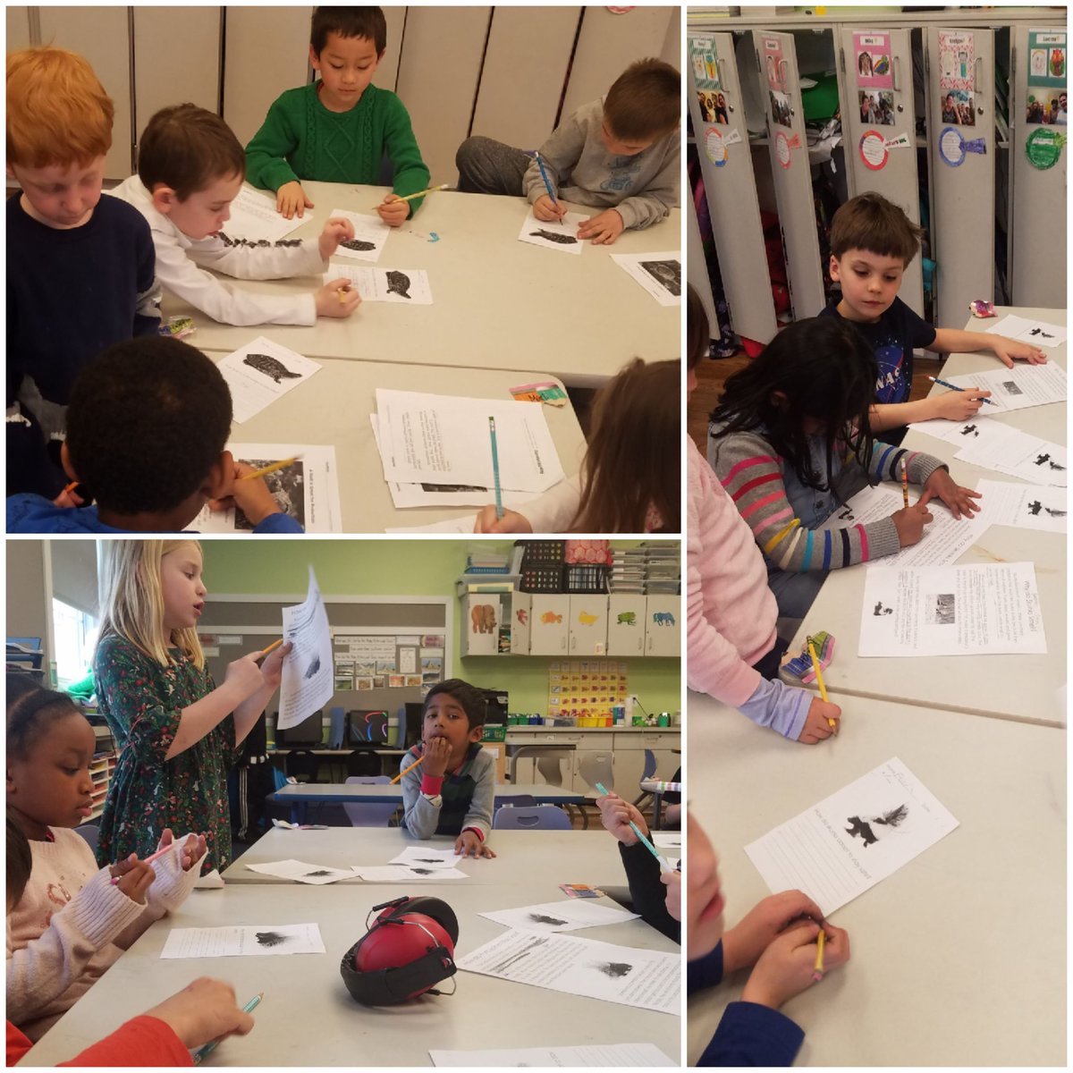 FirstInRoom219's tweet photo. #TheMightyThunderstorm worked through a main idea jigsaw today on animal adaptations. 1st: pairs read 1 of 3 articles 2nd: groups w/ same topic joined to discuss &amp; answer Qs 3rd: 1 pair of each topic came together to teach peers what they learned #flashBOOM https://t.co/BtOvfo11yC