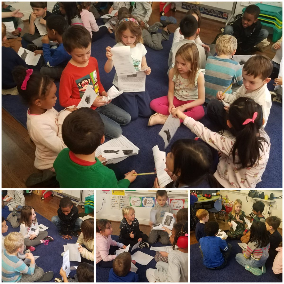 FirstInRoom219's tweet photo. #TheMightyThunderstorm worked through a main idea jigsaw today on animal adaptations. 1st: pairs read 1 of 3 articles 2nd: groups w/ same topic joined to discuss &amp; answer Qs 3rd: 1 pair of each topic came together to teach peers what they learned #flashBOOM https://t.co/BtOvfo11yC