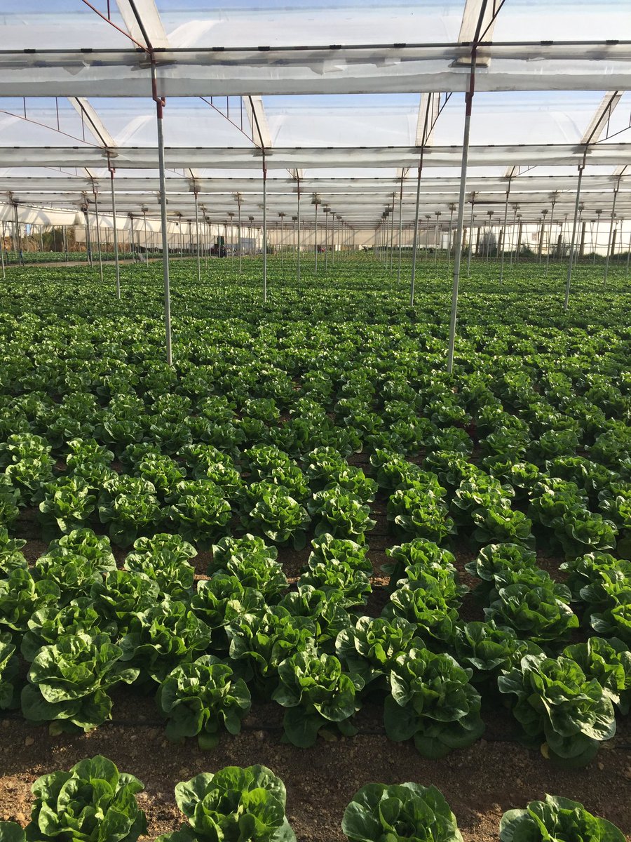 moonlandeeer's tweet photo. monthly farm visit! https://t.co/wCCWUKirG6
