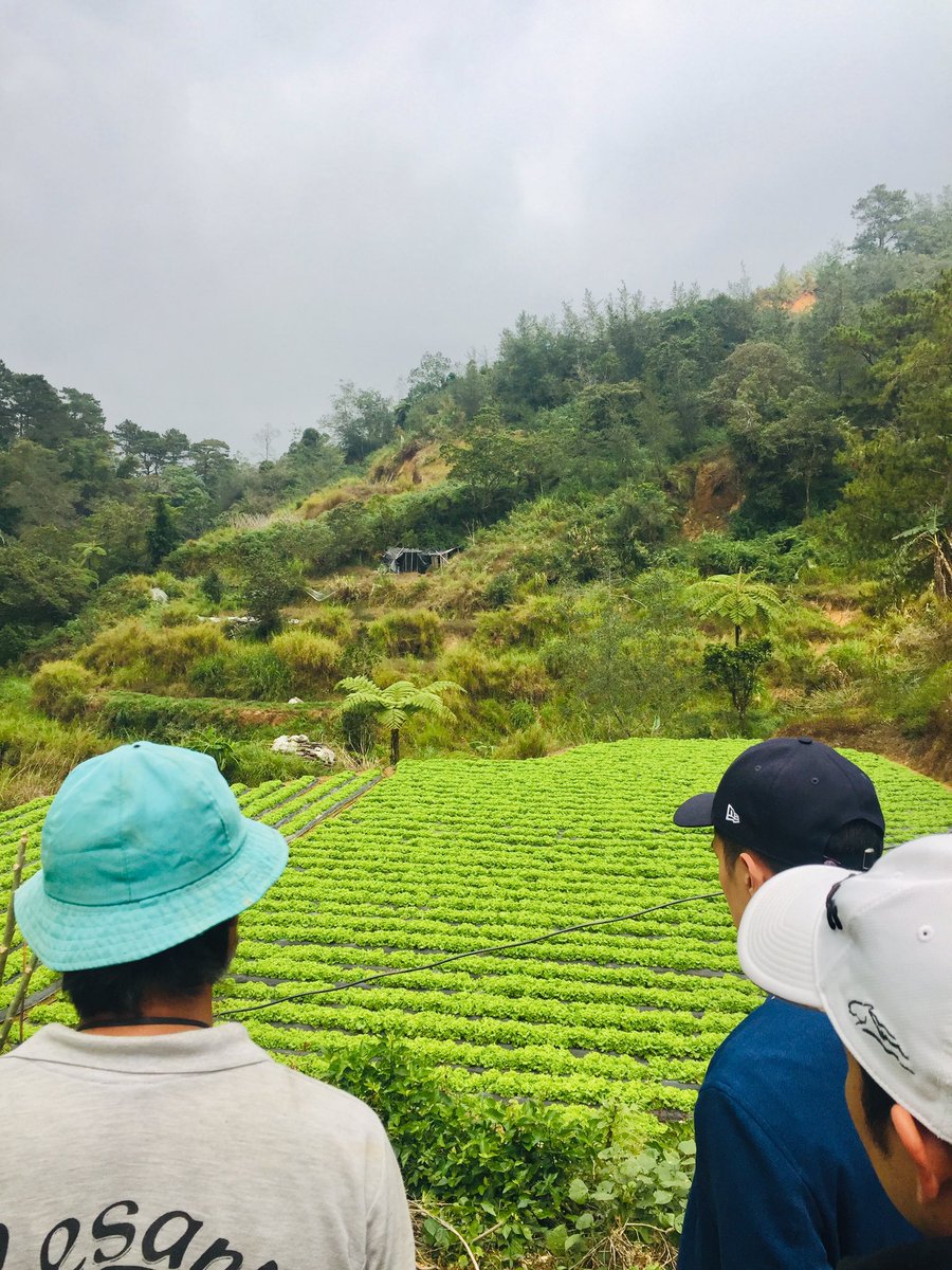 moonlandeeer's tweet photo. monthly farm visit! https://t.co/wCCWUKirG6