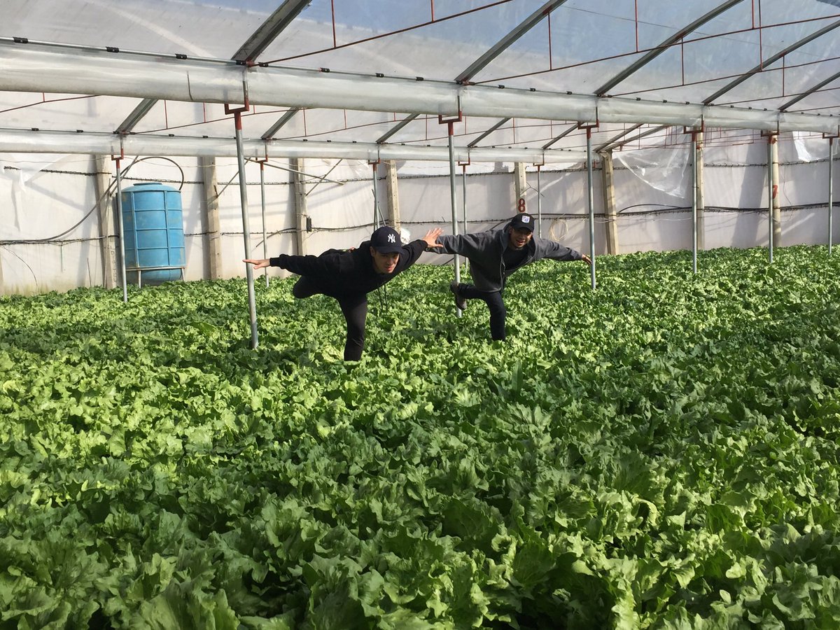 moonlandeeer's tweet photo. monthly farm visit! https://t.co/wCCWUKirG6