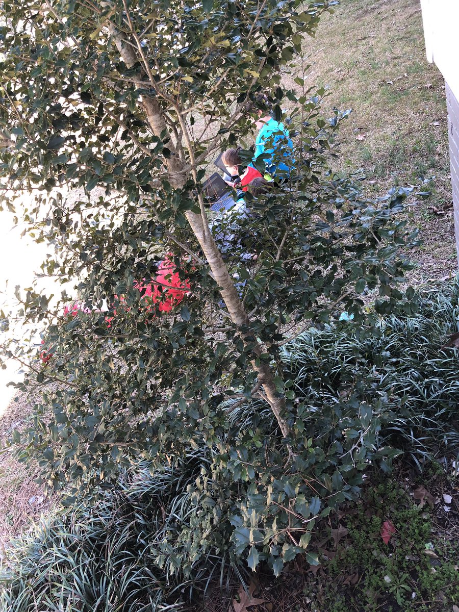 jalogan76's tweet photo. Somedays we just take the learning outside. My students got in a little Prodigy time while enjoying the beautiful weather. Notice the girls working on their βpageantβ tans π€¦ββοΈ Fresh air helps the soul. #mathingitup #frontporchmath #goodhoperaiders https://t.co/JAjos0uJXZ