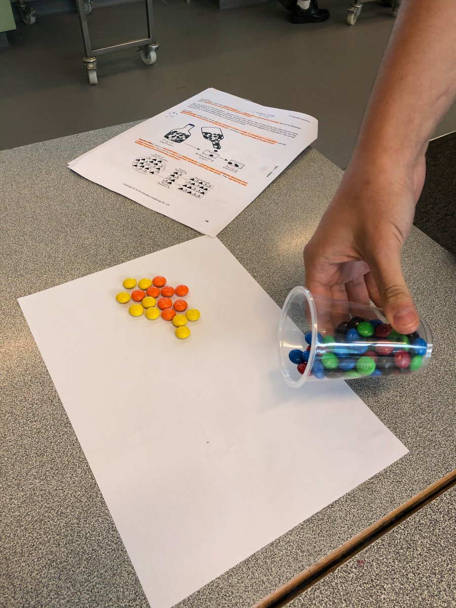 ash_hanning's tweet image. Year 12 Biology modelling Genetic Drift (bottlenecking and founder effect) with M&amp;amp;Ms. Visualising allele frequencies within a gene pool. #module6 #Biologyteacher @CCCWestHoxton