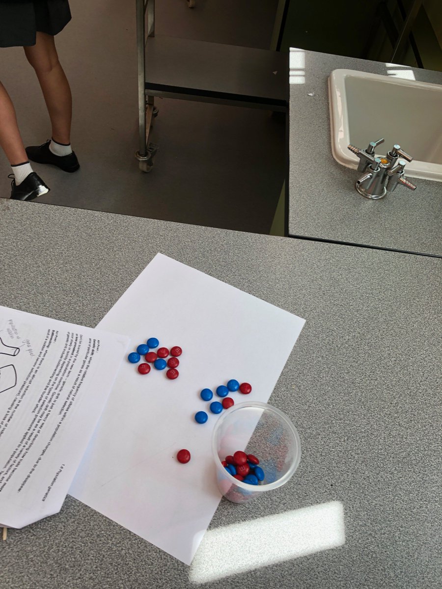 ash_hanning's tweet image. Year 12 Biology modelling Genetic Drift (bottlenecking and founder effect) with M&amp;amp;Ms. Visualising allele frequencies within a gene pool. #module6 #Biologyteacher @CCCWestHoxton