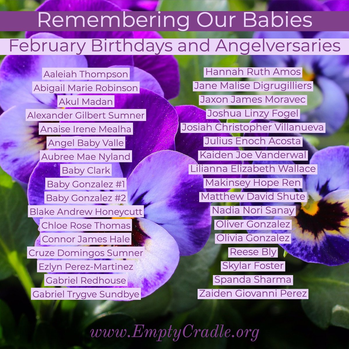 Remembering our February babies’ birthdays and angelversaries.  If you would like your baby added to future monthly remembrance posts, email us at info@emptycradle.org