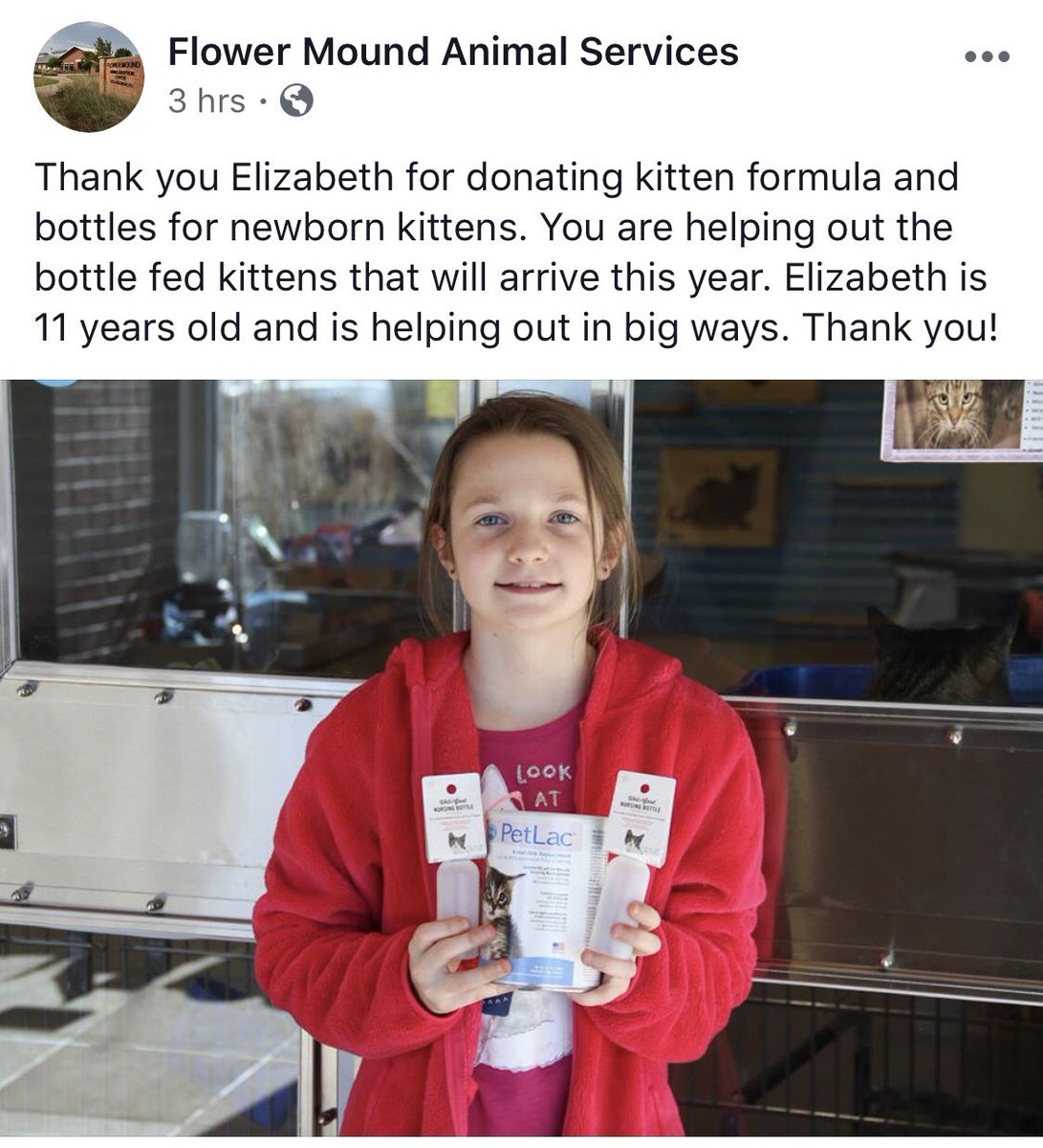 MrsDuermeyer's tweet photo. Way to go Liz! This girl has such a big heart! I am blessed to teach her each day. #lovemykids #catlady @Hackler_HVE @HVE_Bayer https://t.co/Kz1FYviMTD