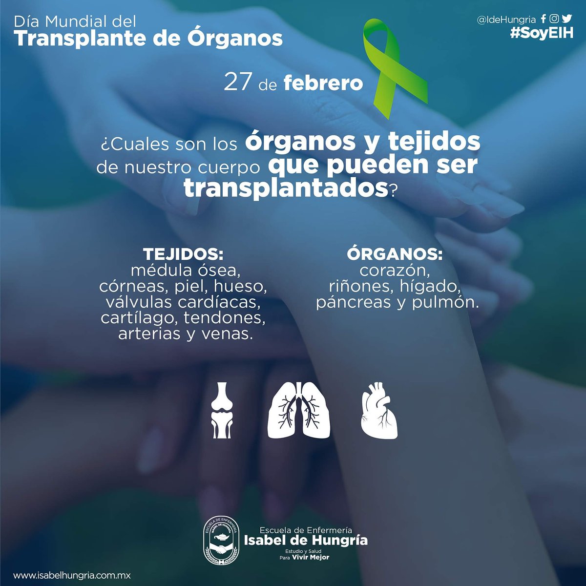 IdeHungria's tweet photo. #DonarSalvaVidas | El fin principal de agradecer a los profesionales que hacen posible salvar vidas mejorando la calidad de vida de las personas y también homenajear a los donantes que por su aporte altruista han salvado vidas

#EscuelaDeEnfermeria #27Feb https://t.co/uYBrvLzNSU