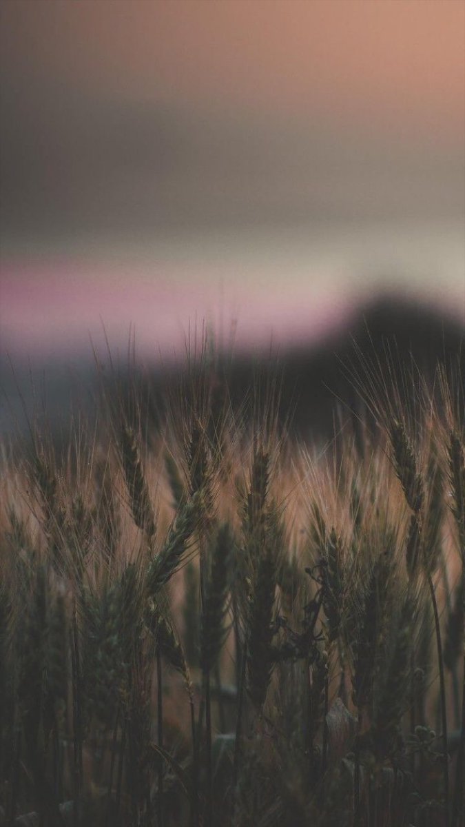 peterherondale's tweet image. Ya veo a mas de uno con las ultimas fotos de Shawn. ♡

#nicebackground