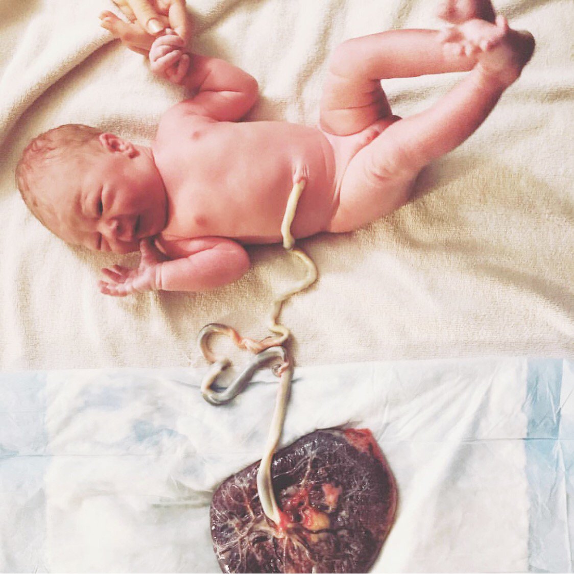 Maternity Neighbrhd tweet media