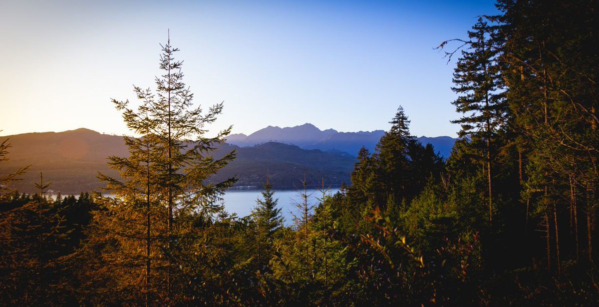 WALandTrusts's tweet photo. The beauty of #partnership! Today the @PeninsulaGreat, @tpl_org, @waDNR, @USNavy and the @ConservationFnd together have protected the former #BoyScout camp #CampHahobas on the pristine shores of #HoodCanal. https://t.co/dlRknTPxTF https://t.co/xCn2k28p4o