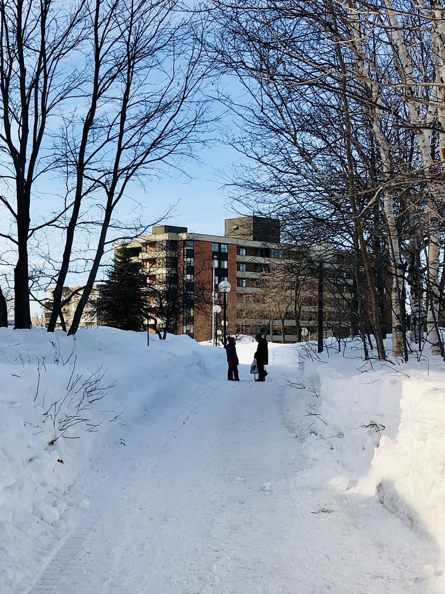 catlap78's tweet image. Les enfants seront le fil pr tisser ces liens entre l’école et communauté. Une élève s’est arrêtée pour ramasser la canne d’une dame et lui parler. Pr moi, ça signifie + que tous les pourcentages sur un bulletin. Cela a + de valeur que n’importe quelle note. #EduProf #evalchange