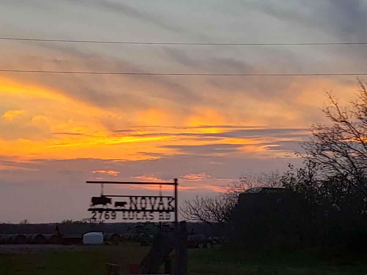 JamieJALFT's tweet photo. God never paints the same one twice! #springarrival in #SouthTexas #SoTex #Texas #MAGA ty God still in land of free because of the brave! https://t.co/0GuNhMhND0