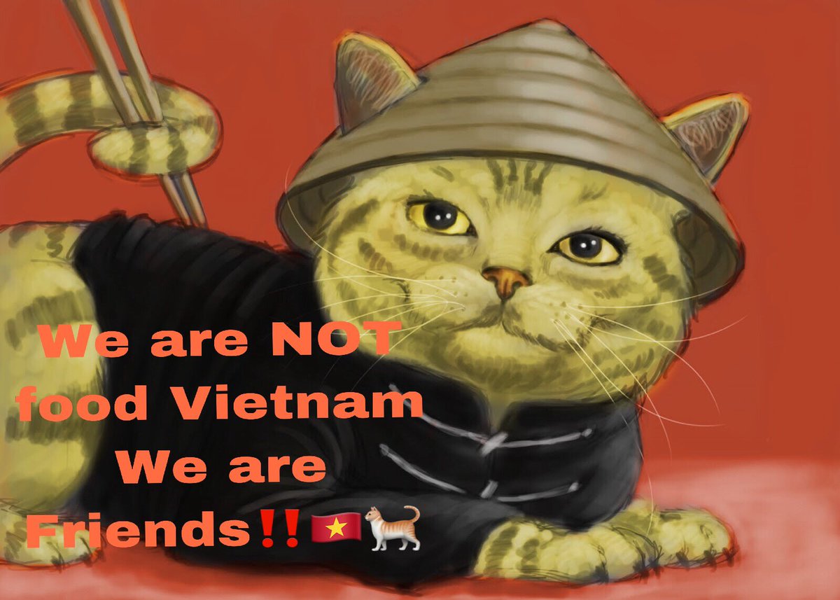 Родились в год кота. Вьетнамский кот. Вьетнамская шапка кот. Котики 2023.