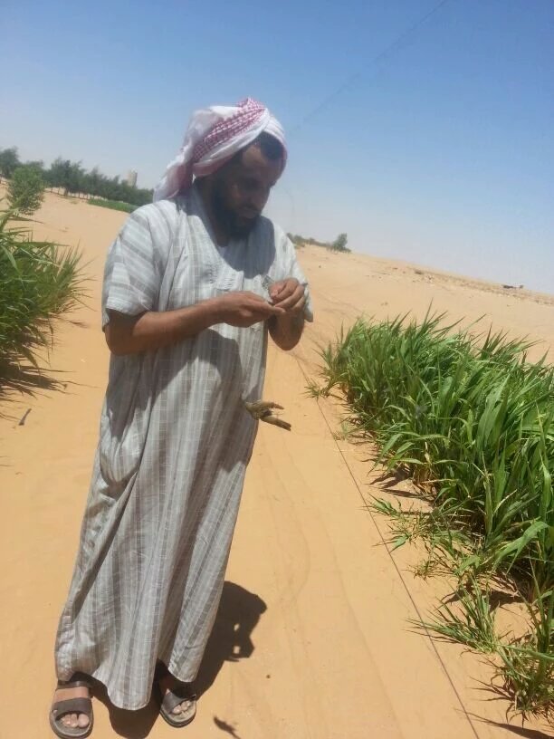 hamddd35's tweet photo. لاتنسونهم من دعواتكم انهم في قبورهم ينتظرون دعواتكم اللهم اجعل قبورهم روضه من رياض جنتك اللهم اغفرلهم وارحمهم  امين https://t.co/toBMJpgbKM https://t.co/v3VA930AZm