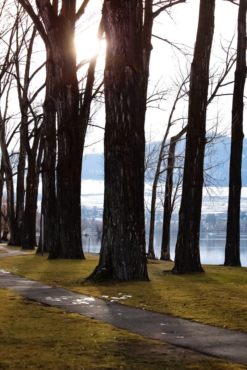 mtsteiger's tweet image. update michellesteiger.com/update/