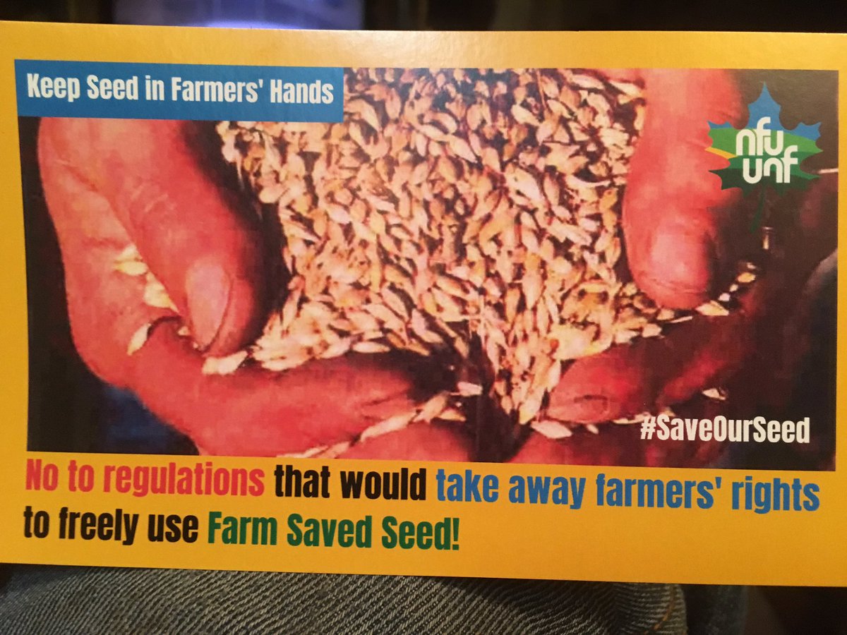 knjaa11's tweet photo. @PremierScottMoe @David_Marit @JustinTrudeau @L_MacAulay @RandyHobackCPC #saveourseed https://t.co/zJHwMokdVJ