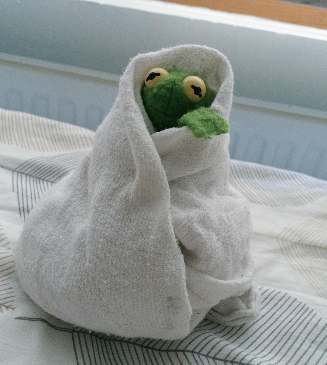 alexi_eastes's tweet photo. me at home slipping into a fevered panic because I’ve missed two days of school this week https://t.co/p84piokoyc